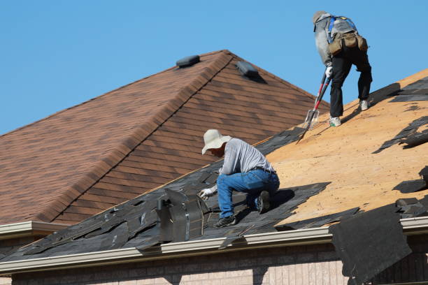 Best Solar Panel Roofing Installation  in Stockton, UT